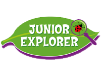 Junior explorer